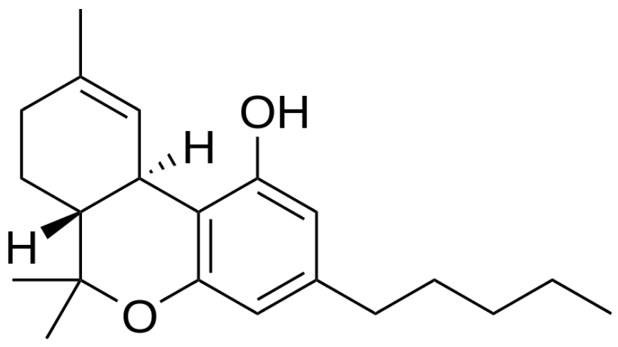 But before then, let's look at THC and understand its mechanism of action in the body.