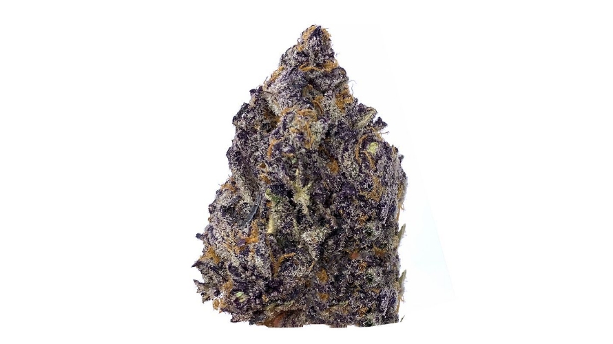 Apart from providing smokers with the best experience, the Tom Ford Strain has one of the most appealing looks among other strains. 