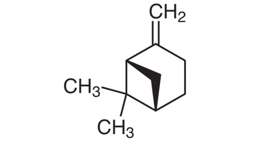 This terpene has proven to be beneficial to the overall health of humans, just like its counterpart a-pinene.