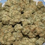 BUY-CALIFORNIA-ORANGE-AA-FLOWER-AT-CHRONICFARMS.CC-ONLINE-WEED-DISPENSARY-IN-BC