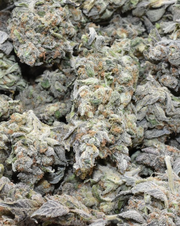 BUY-SOUR-DIESEL-AT-CHRONICFARMS.CC-ONLINE-WEED-DISPENSARY