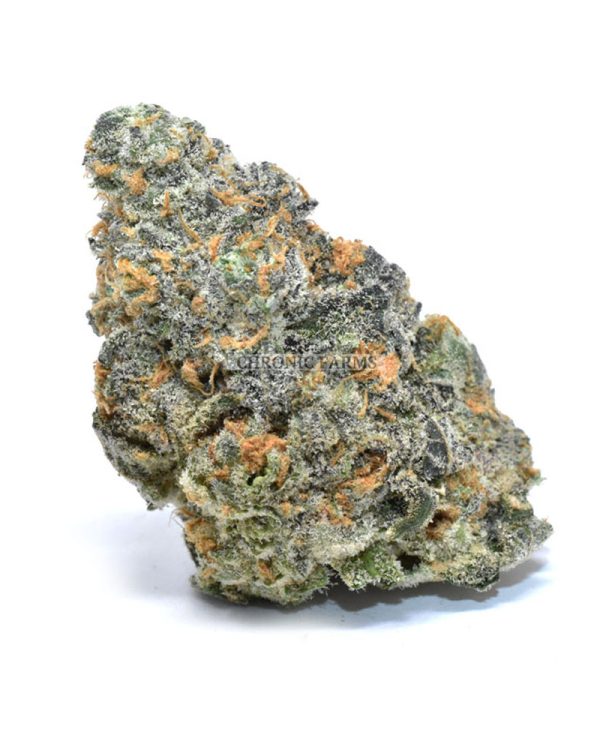 BUY-TROPIC-THUNDER-AT-CHRONICFARMS.CC-ONLINE-WEED-DISPENSARY