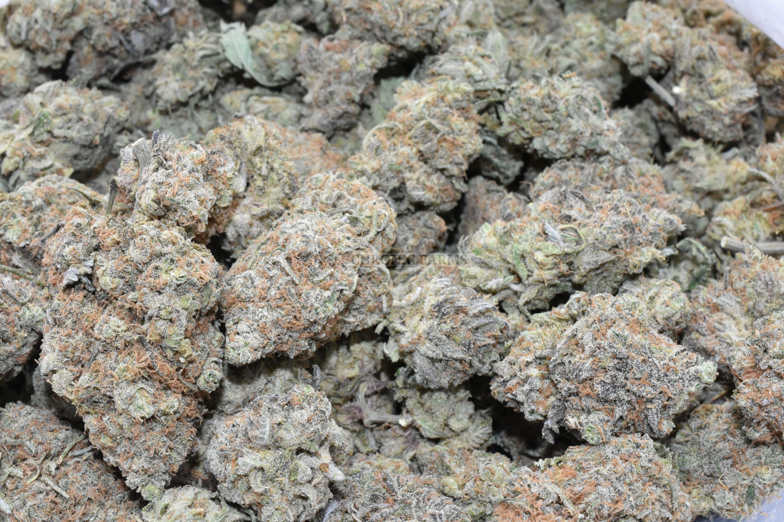 buy-white-castle-at-chronicfarms.cc-online-weed-dispensary