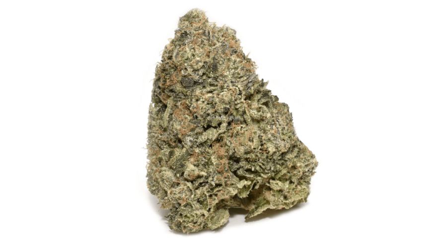 The 91 Octane (AAAA+) is a top-shelf pure Indica strain and the child of the famous Hindu Kush, Lemon Thai, and Chemdawg strains. 