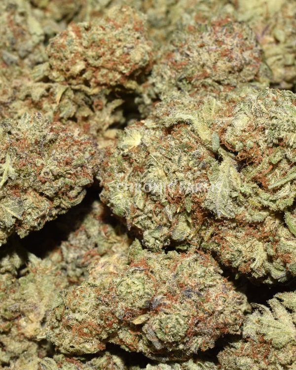 BUY-BLUEBERRY-PIE-AT-CHRONICFARMS.CC-ONLINE-WEED-DISPENSARY-IN-BC