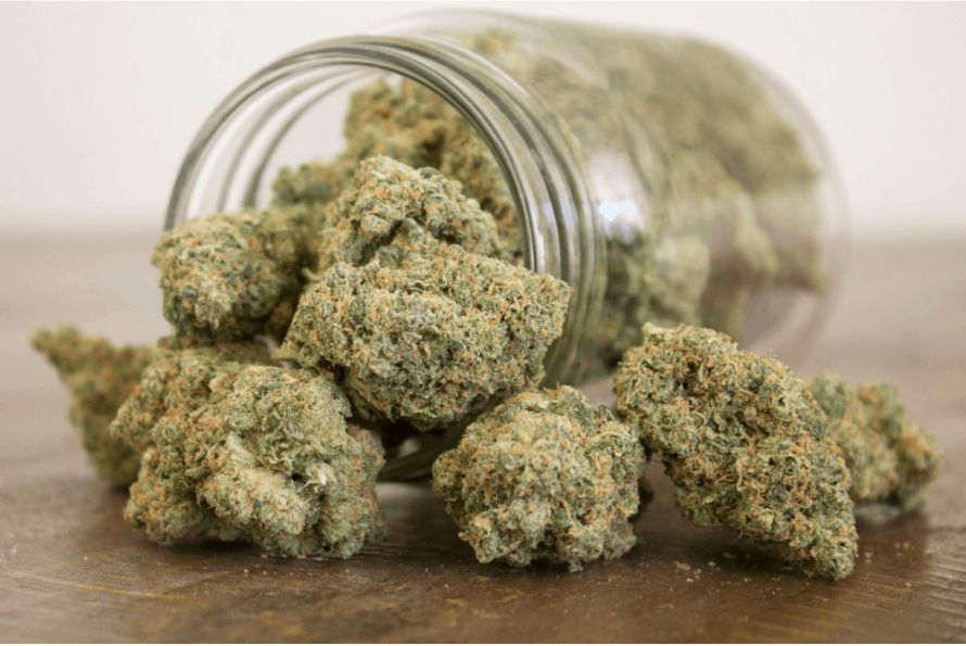 Uncover the best cannabis strains for pain relief, fibromyalgia, migraines, and other disorders, right here, right now. 