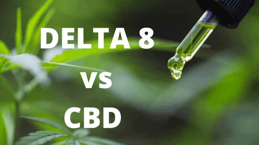 CBD and Delta 8 are both cannabinoids found in the cannabis plant, but they have two key differences: