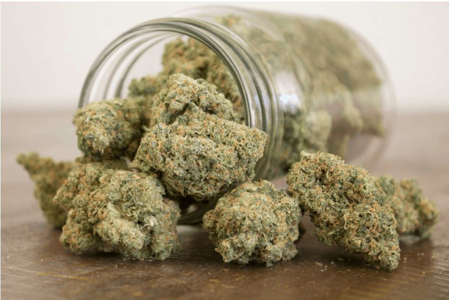 Here are the 10 most potent cannabis Indica strains available at our online dispensary in Canada. Most of these plants offer tasty & a nice aroma.