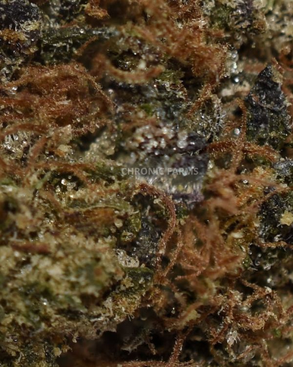 BUY-DIABLO-DEATH-BUBBA-AAA-FLOWER-AT-CHRONICFARMS.CC-ONLINE-WEED-DISPENSARY-IN-BC