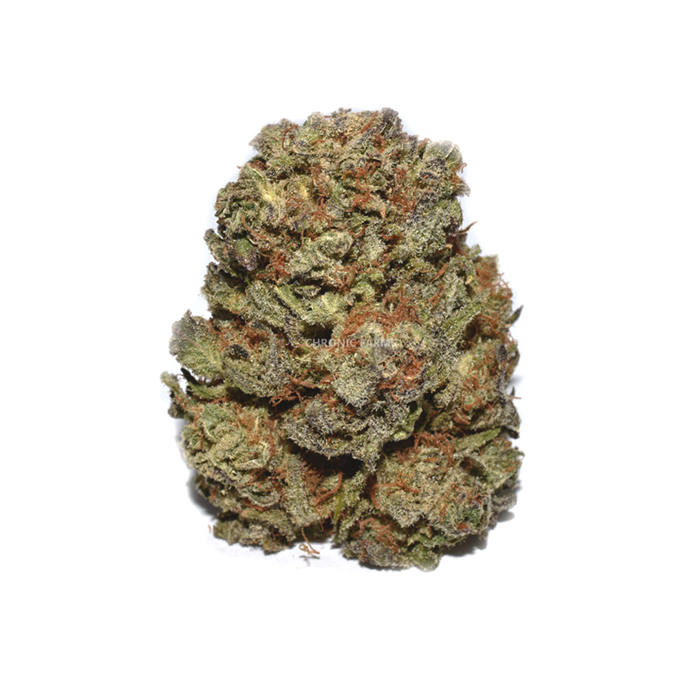 BUY-DO-SI-DO-AT-CHRONICFARMS.CC-ONLINE-WEED-DISPENSARY-IN-BC