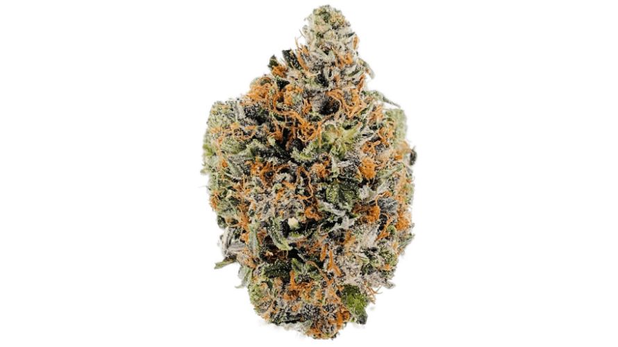 The High Octane OG (AAAA), also called High Octane Kush is a pure Indica strain and the child of Lemon Thai, Hindu Kush, and Chemdawg strains.