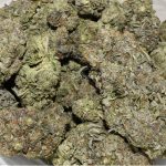 BUY-MIKE-TYSON-AT-CHRONICFARMS.CC-ONLINE-WEED-DISPENSARY