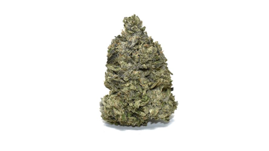 Master Kush (AAA) is one of the strongest plants ever known and even has some awards to its name. It is popular for being the favourite of the U.S. rapper Snoop Dogg.