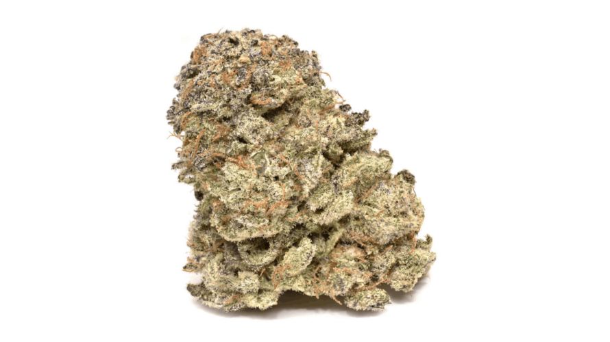 NL5 is a Sativa-dominant strain that's been bred with feminized seeds. 