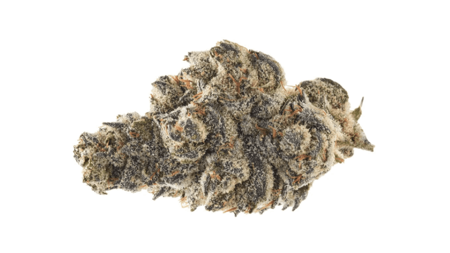 The Powdered Donuts strain is an Indica-leaning hybrid and one of the top-selling buds at Chronic Farms.