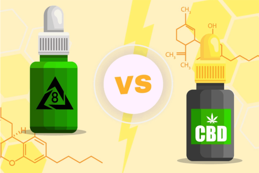 Understanding the differences between Delta-8 THC vs CBD will help you make a wiser shopping decision and achieve the effects you desire. 
