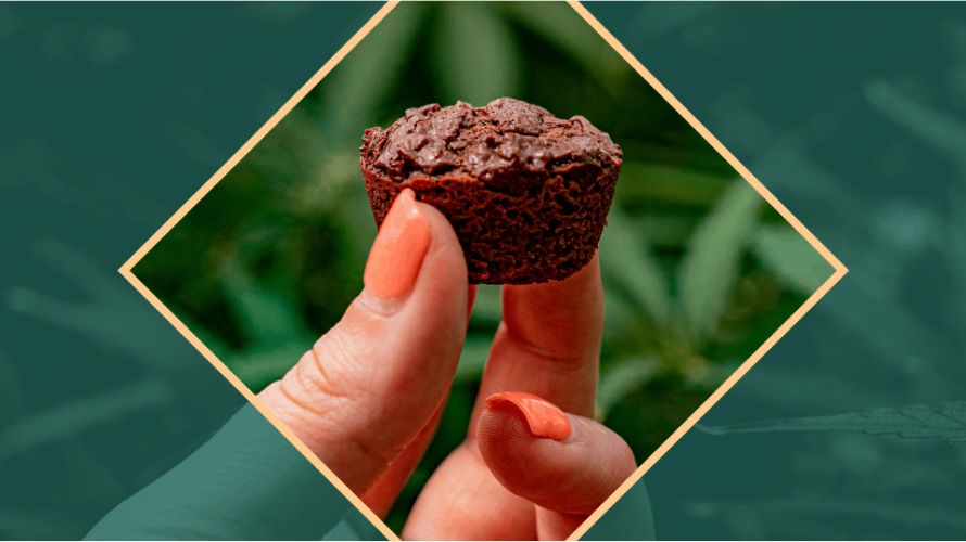 The best amount of THC in edibles can be different for each person based on things like their tolerance, body weight, and what they want to feel. 