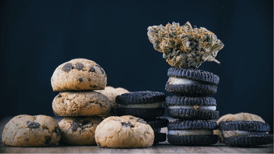 In this article, we will be talking about five easy-to-bake weed edibles recipes you should try at home.