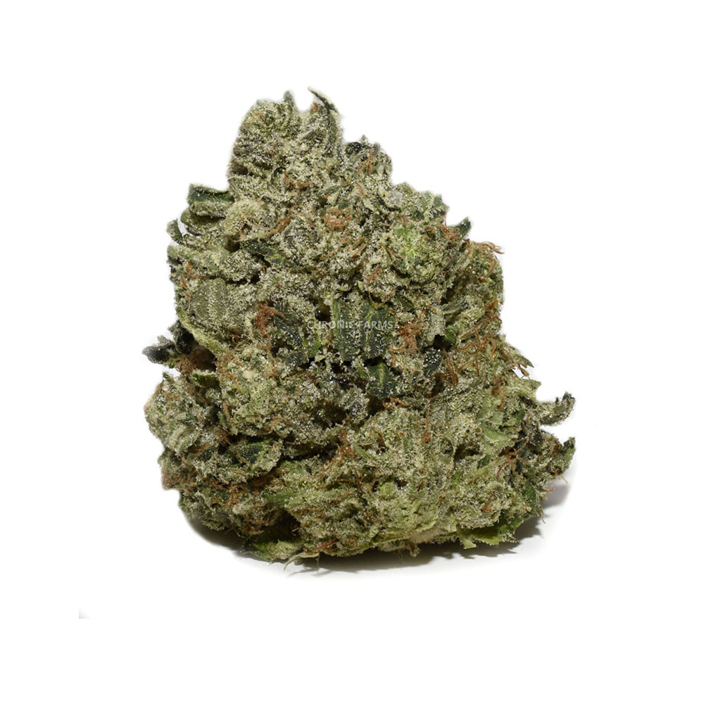 BUY-BLUE-FIN-TUNA-KUSH-INDICA-QUADS-AT-CHRONICFARMS.CC-ONLINE-WEED-DISPENSARY