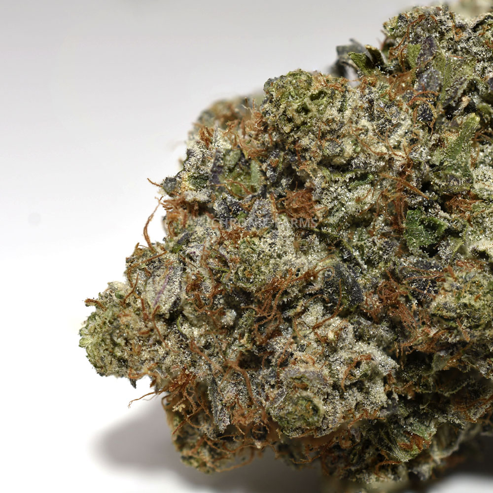 BUY-MIKE-TYSON-AT-CHRONICFARMS.CC-ONLINE-WEED-DISPENSARY