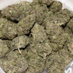 BUY-ROCKSTAR-INDICA-QUADS-AT-CHRONICFARMS.CC-ONLINE-WEED-DISPENSARY