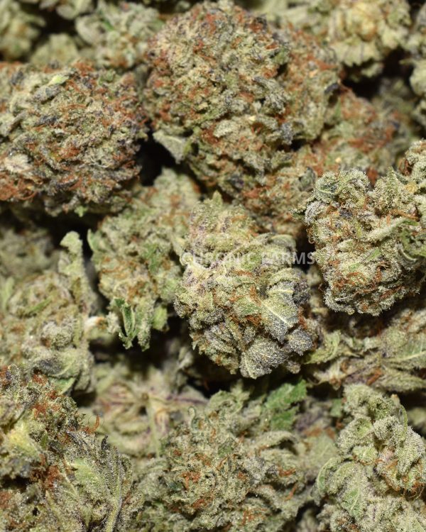 BUY-SUPER-SILVER-HAZE-AT-CHRONICFARMS.CC-ONLINE-WEED-DISPENSARY-IN-BC