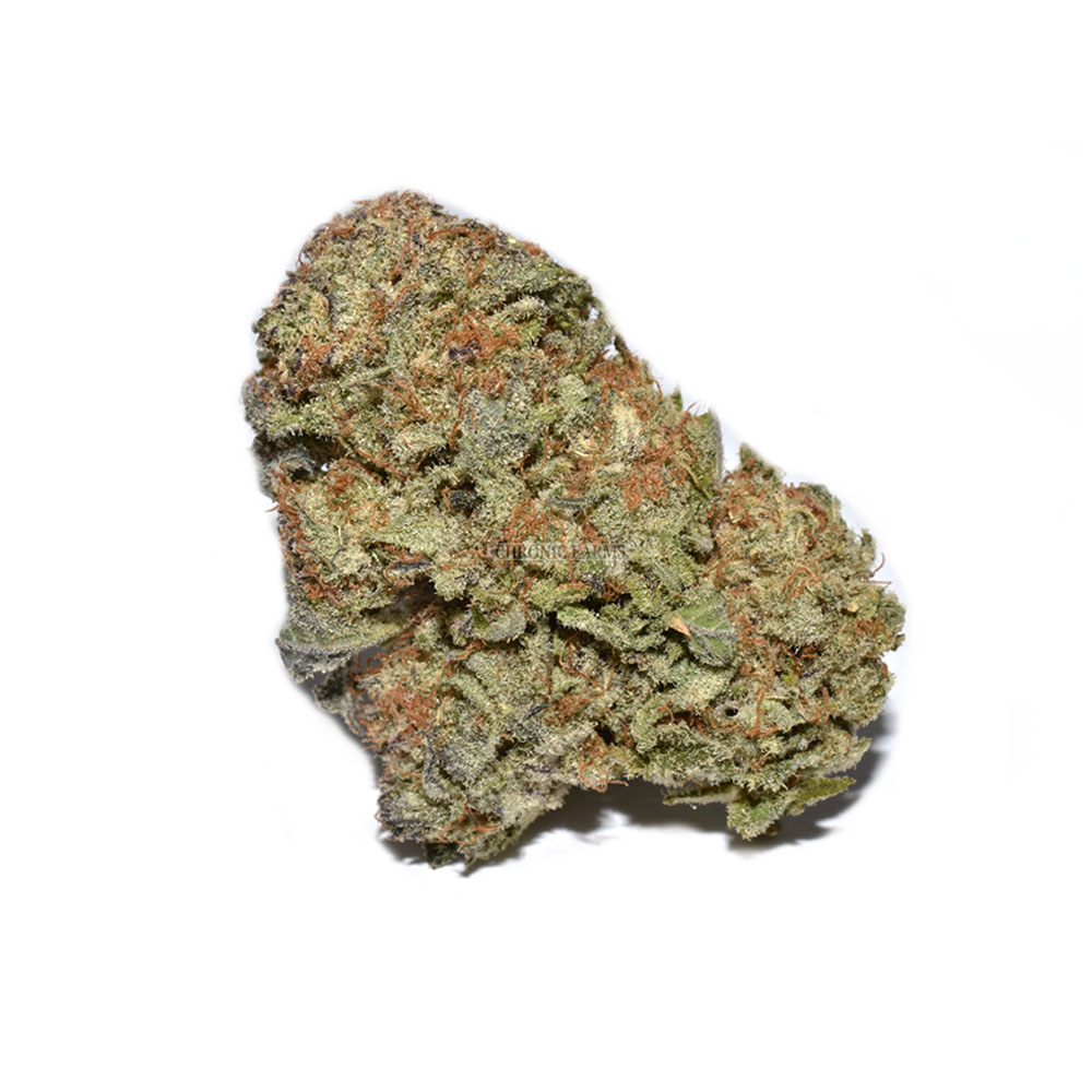 BUY-SUPER-SILVER-HAZE-AT-CHRONICFARMS.CC-ONLINE-WEED-DISPENSARY-IN-BC