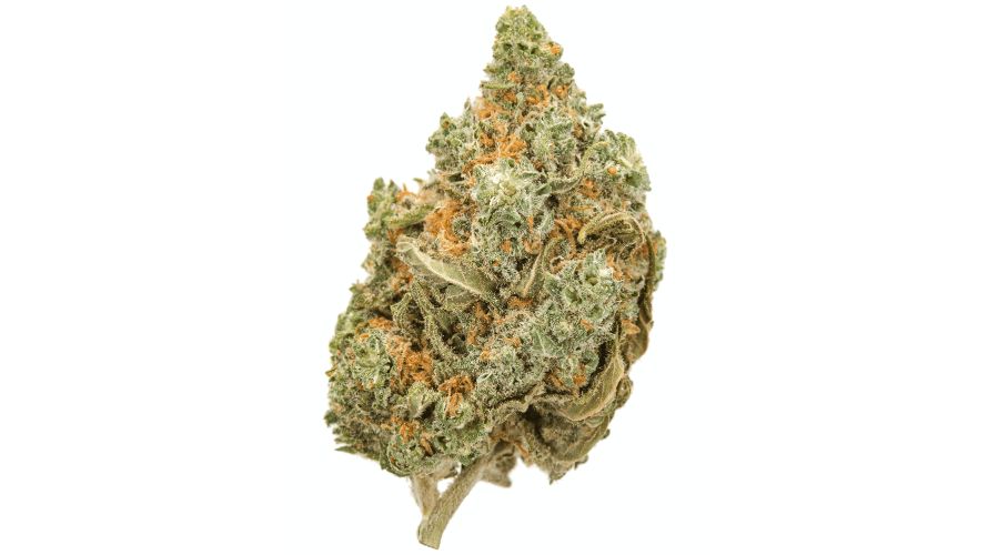 The Amnesia Haze (AA) is a potent Sativa-leaning hybrid, and the best weed for depression. 