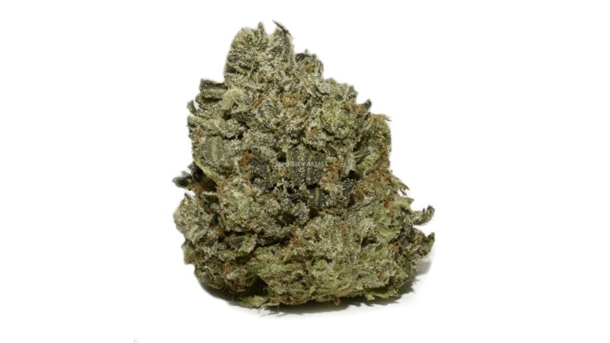 The Bluefin Tuna Kush (AAAA+) is an Indica leaning hybrid strain that's a cross between the Blueberry and Tuna Kush strains. 