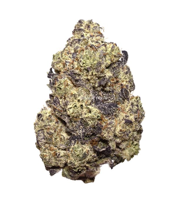 BUY-DONKEY-BUTTER-QUADS-AT-CHRONICFARMS.CC-ONLINE-WEED-DISPENSARY-IN-BC-CANADA