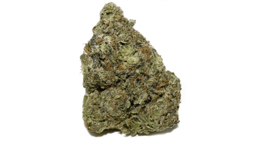 The THC content of El Diablo is around 20 percent, making it one of the most potent weed strains out there. 
