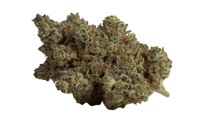 With the El Jefe strain, you can expect a THC level that ranges from around 22%, making it a strong and effective strain.
