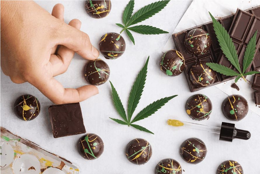 In this article, we tell you all about high THC edibles, the top 4 products and where to buy weed edibles online in Canada. Keep on reading the blog.