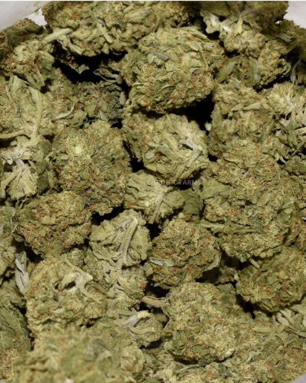 buy-love-potion-AA-flower-at-chronicfarms.cc-online-weed-dispensary