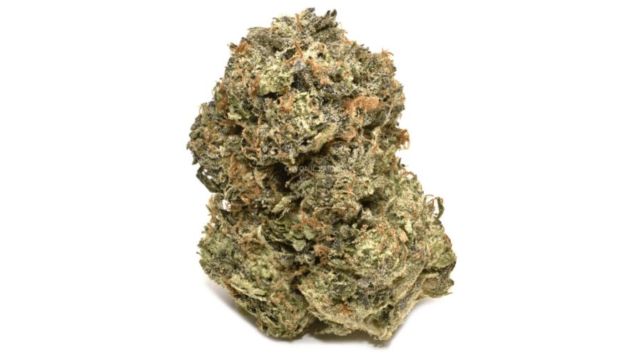 The MK Ultra (AAAA+) is a top-shelf Indica marijuana strain, and the child of the famous G13 and OG Kush. 