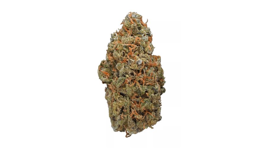 One of the most notable features of the Red Congolese strain is its mouth-watering flavour and aroma profile.
