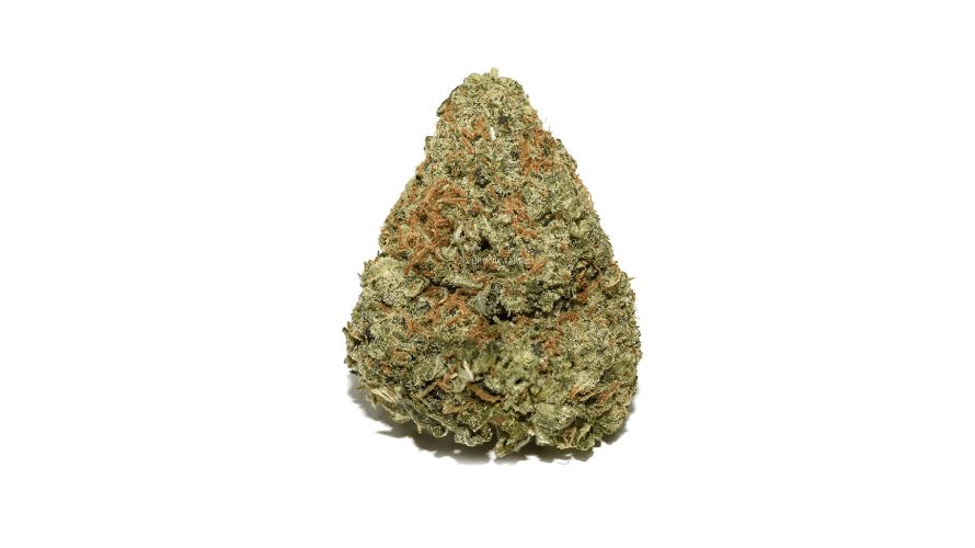This 80 percent Sativa strain is a fantastic alternative to the Red Congolese, offering an elevating buzz and headstrong focus that can help you stay energized and motivated throughout the day. 
