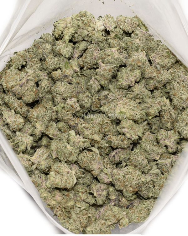BUY SUGAR COOKIES QUAD POPCORN CANNABIS AT CHRONICFARMS.CC ONLINE WEED DISPENSARY IN CANADA