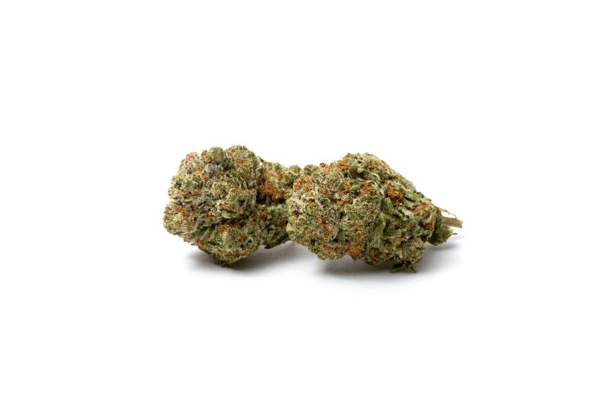 In this blog post, we will take an in-depth look at the El Jefe strain, providing you with all the information you need to know about this impressive strain.