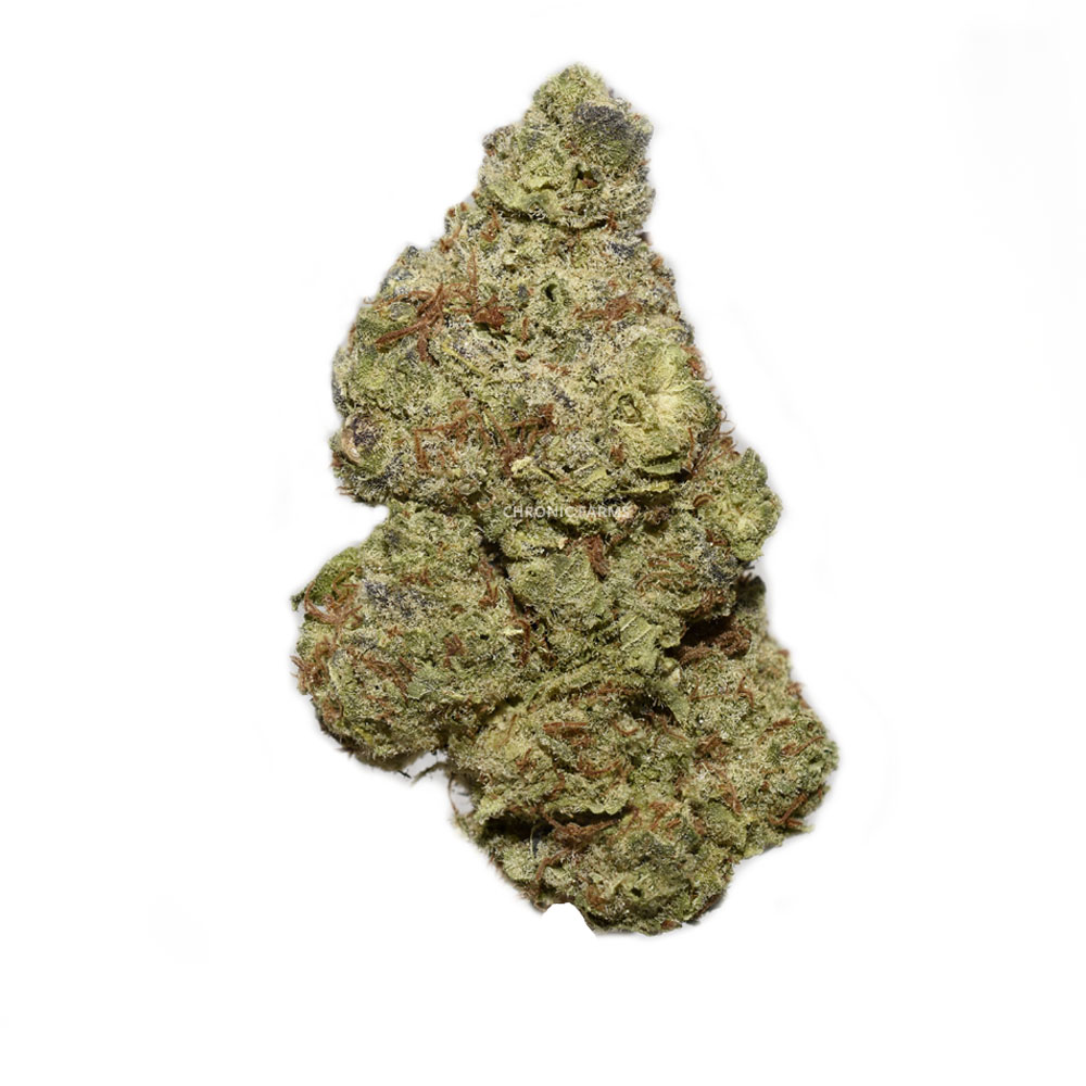 BUY UK CHEESE CANNABIS AT CHRONICFARMS.CC ONLINE WEED DSPENSARY IN CANADA
