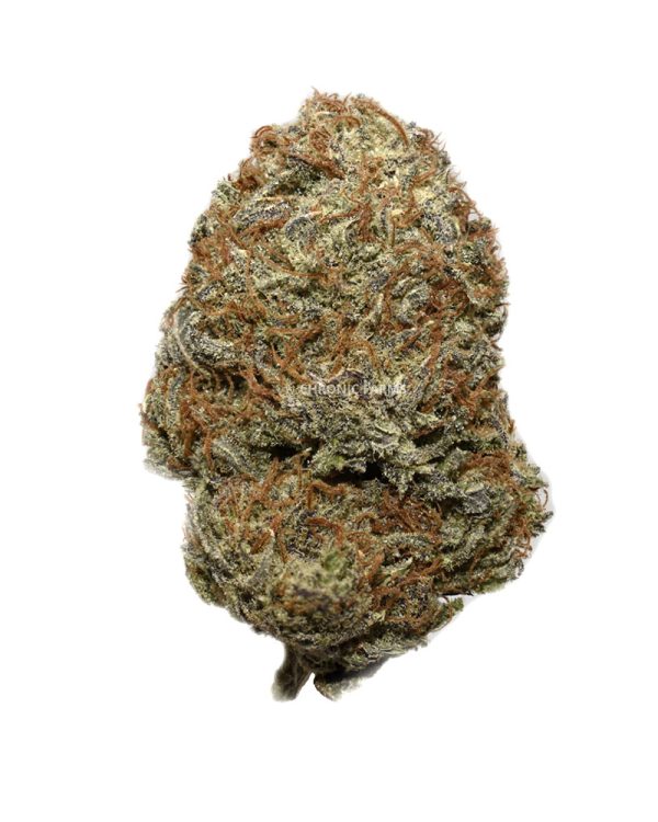 buy white runtz at chronicfarms.cc online weed dispensary in canada