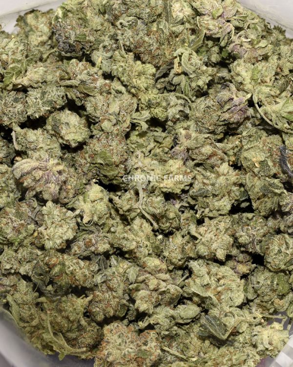 BUY-ISLAND-PINK-POPCORN-AT-CHRONICFARMS.CC-ONLINE-WEED-DISPENSARY-IN-CANADA