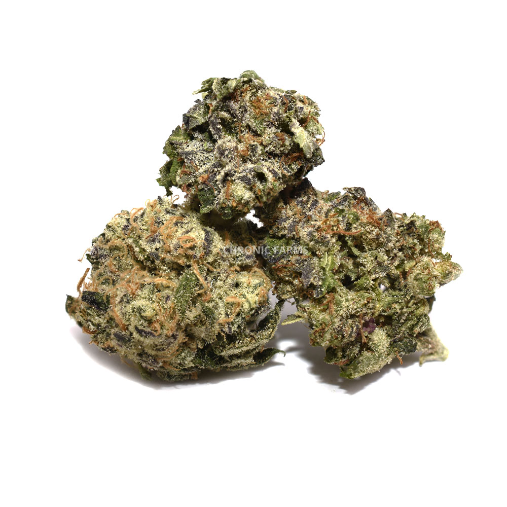 BUY-ISLAND-PINK-POPCORN-AT-CHRONICFARMS.CC-ONLINE-WEED-DISPENSARY-IN-CANADA