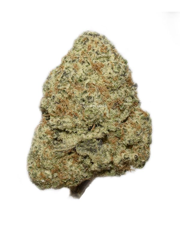 BUY-LONDON-POUND-CAKE-AAAA-AT-CHRONICFARMS.CC-ONLINE-WEED-DISPENSARY-IN-BC-CANADA