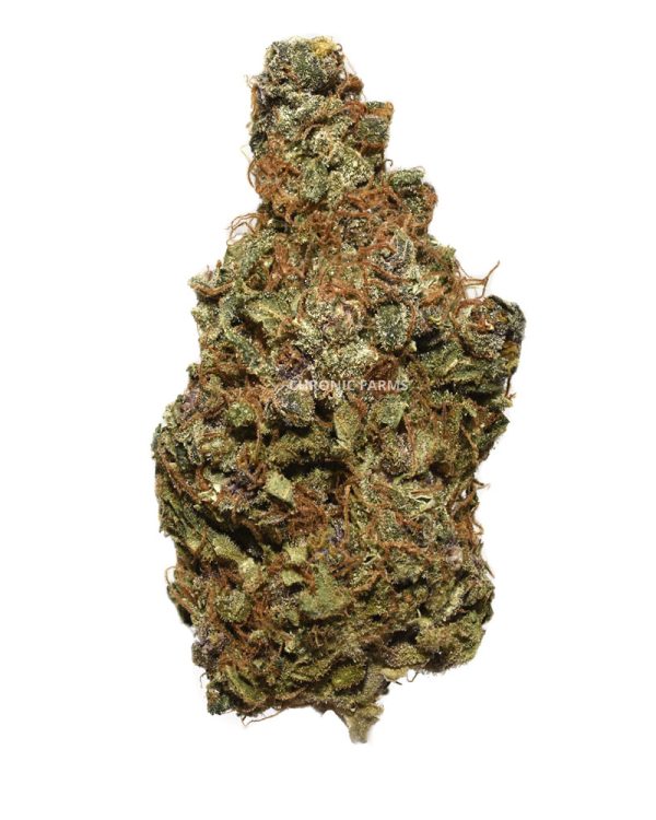 BUY SHISKABERRY CANNABIS AT CHRONICFARMS.CC ONLINE WEED DISPENSARY IN CANADA