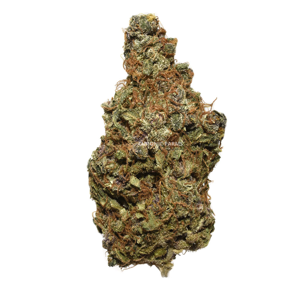 BUY SHISKABERRY CANNABIS AT CHRONICFARMS.CC ONLINE WEED DISPENSARY IN CANADA