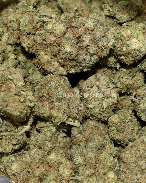 BUY-SOUR-DIESEL-AT-CHRONICFARMS.CC-ONLINE-WEED-DISPENSARY