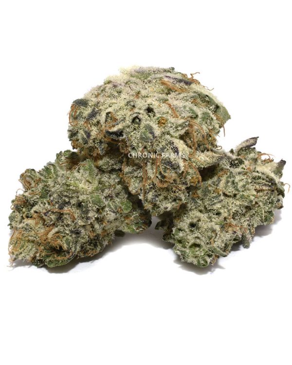 BUY SUGAR COOKIES QUAD POPCORN CANNABIS AT CHRONICFARMS.CC ONLINE WEED DISPENSARY IN CANADA