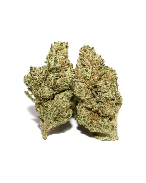 BUY-WHITE-SHARK-OG-POPCORN-AT-CHRONICFARMS.CC-ONLINE-WEED-DISPENSARY