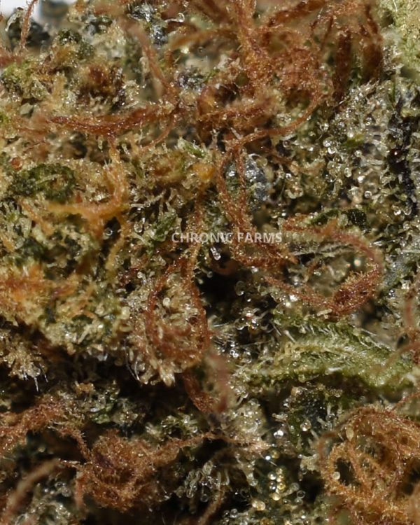 BUY-BUBBA-KUSH-AAA-FLOWER-AT-CHRONICFARMS.CC-ONLINE-WEED-DISPENSARY-IN-BC